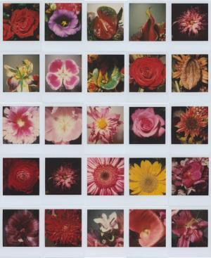 荒木経惟展「淫夏」が渋谷AMで開催。艶る着物や近未来の終戦記念日を写した最新作も