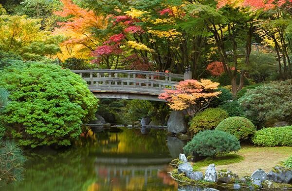 日本の美をアメリカで味わえる ポートランド日本庭園 が拡張 増設を発表 デザインは隈研吾が担当 15年7月30日 ウーマンエキサイト 1 3
