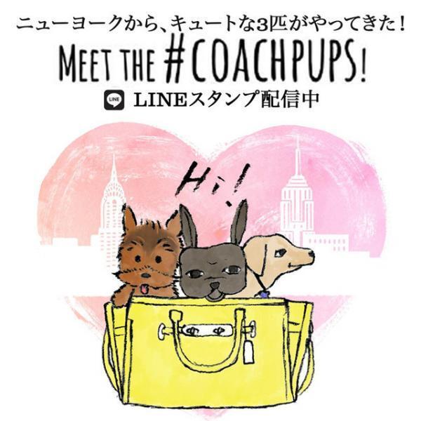“COACH×セレブ犬”第2弾、アリアナ・グランデ＆ミランダ・カーの愛犬が登場
