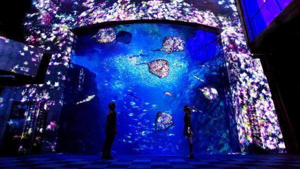 チームラボが都市に、自然に…“溶け込む”新アートプロジェクト始動