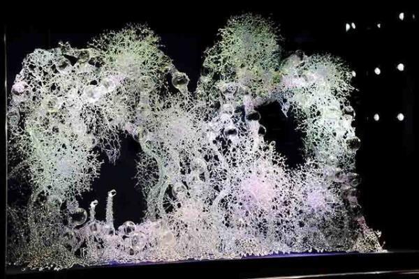 ヴァン クリーフ＆アーペルが現代アーティスト・松宮硝子とのコラボディスプレイを展開