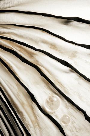 イッセイミヤケ主催、日本での素材作りを伝える「テキスタイル展」が大阪で開催