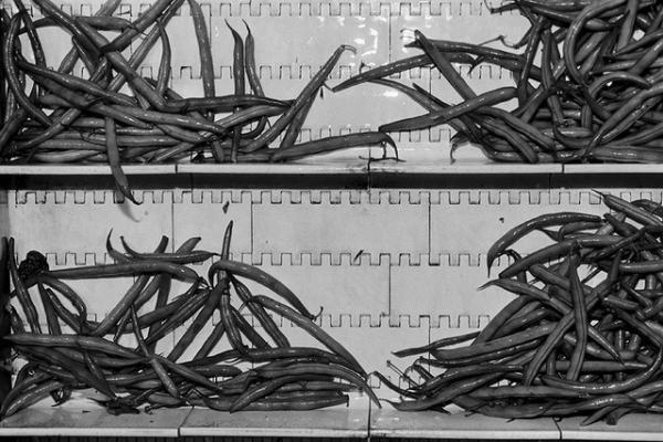 国際写真賞「Prix Pictet」が日本初上陸。“消費”をテーマに東京で巡回展