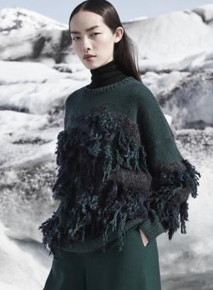 ダイアナ・ヴリーランドの孫が登場、『COS magazine』2015-16秋冬配布を開始