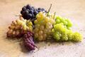 旬の“ぶどう”食べ比べイベント「青山 フルーツパーラー」開催、ワイン醸造用ぶどうも登場