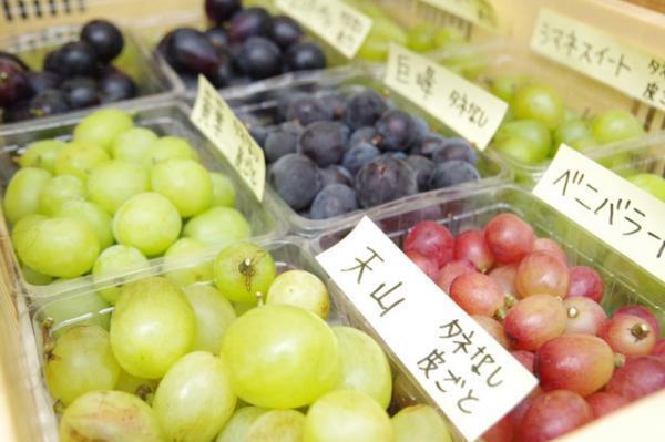 旬の“ぶどう”食べ比べイベント「青山 フルーツパーラー」開催、ワイン醸造用ぶどうも登場