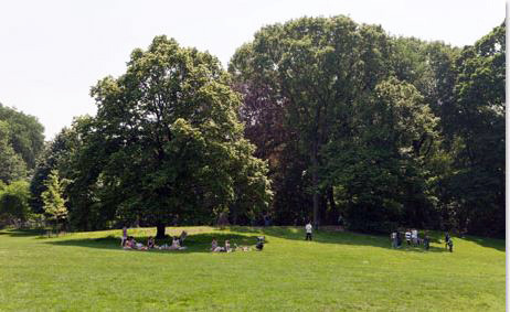 アン・ハサウェイ主演『マイ・インターン』公開記念“NYツアー”が発売