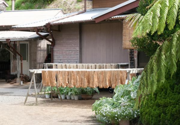 黄八丈「八丈島の自然と歴史が刻まれた染織」山下芙美子さん＆誉さんに会いに。前編【ENcounter vol.1】