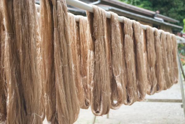 黄八丈「八丈島の自然と歴史が刻まれた染織」山下芙美子さん＆誉さんに会いに。後編【ENcounter vol.1】