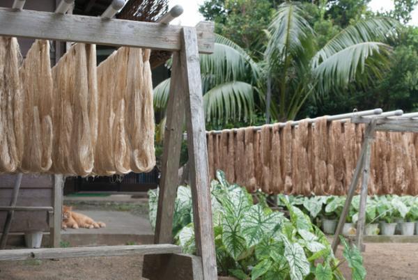 黄八丈「八丈島の自然と歴史が刻まれた染織」山下芙美子さん＆誉さんに会いに。後編【ENcounter vol.1】