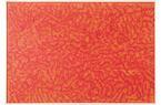 切り絵アーティスト尾関幹人の“重複×重複”という表現、新宿伊勢丹で初個展「OVERLAP」