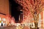 六本木ヒルズの“五感で感じる”クリスマス。120万個が灯るイルミネーションなど展開