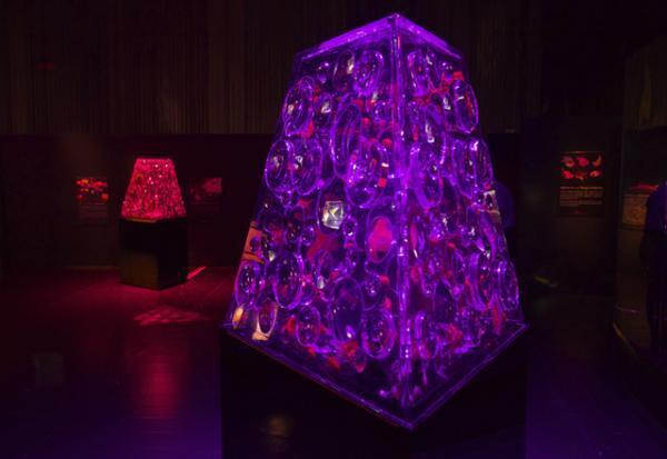 琳派400周年に沸く京都・二条城で2度目の「アートアクアリウム城」開催