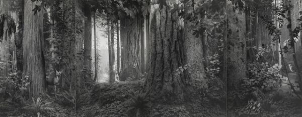 杉本博司の大規模展が千葉市美術館で開催。日本初公開を含む古今の作品を展示