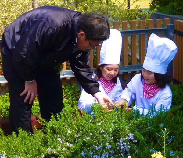 銀座の空の下で“ミツバチ”について考える。都市と自然環境の共生目指し、銀座地区に屋上庭園
