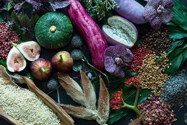 葉山の海沿いで和紙専門店WACCAによる和紙の企画展開催、期間限定カフェも