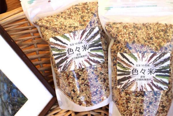 青山・日本酒マーケットに14酒造が集結。お酒に合うおつまみや新米、発酵食も食べ比べ