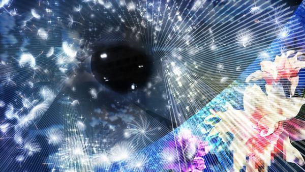 日本橋初、“桜色”に染まるイルミネーションで一足早い冬のお花見