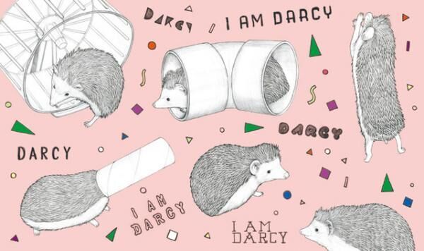 Instagramで大人気の“ハリネズミのダーシー”とアーティストのD[di:]のコラボレーションによる絵本『ぼくのかわいいハリネズミ、ダーシー』が発売