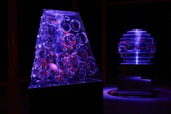 京都「アートアクアリウム城」でおでんと日本酒を振る舞う一夜限りのイベント