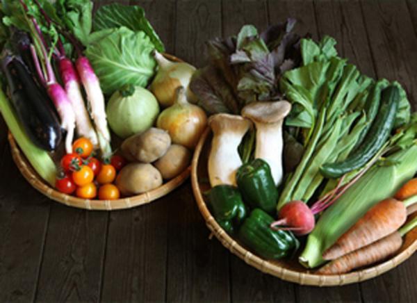 代々木VILLAGEにて“ブリティッシュマーケット”開催。紅茶やお菓子、ワイン、雑貨も