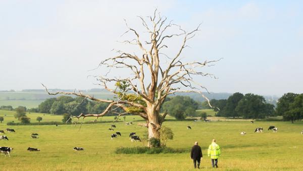 “説明しにくいアート”とは？ジョン・ウッド＆ポール・ハリソンの日本初大規模個展