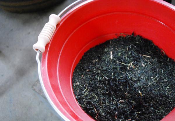 正藍冷染「藍と共にある四季」日本最古の藍染を守る千葉まつ江さんに会いに--後編【ENcounter vol.2】