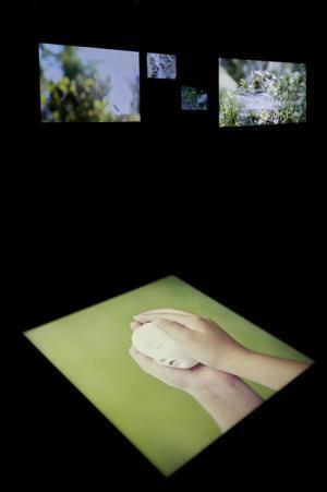 グッチ新宿で川内倫子写真展。新クリエイティブ・ディレクター、アレッサンドロからの指名をきっかけに実現