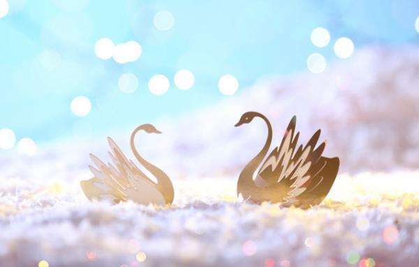 レペットからピンクゴールドの星を散りばめたクリスマスコレクション