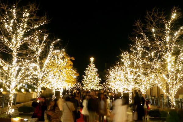 『創造と神秘のサグラダ・ファミリア』いよいよ明日公開！10万の光が彩る恵比寿ガーデンプレイスで構想を解き明かす