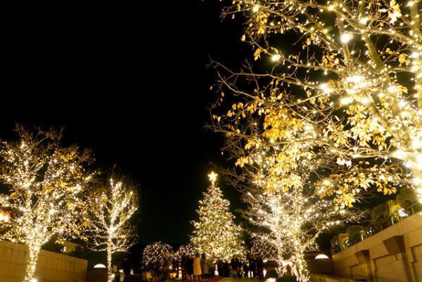 『創造と神秘のサグラダ・ファミリア』いよいよ明日公開！10万の光が彩る恵比寿ガーデンプレイスで構想を解き明かす