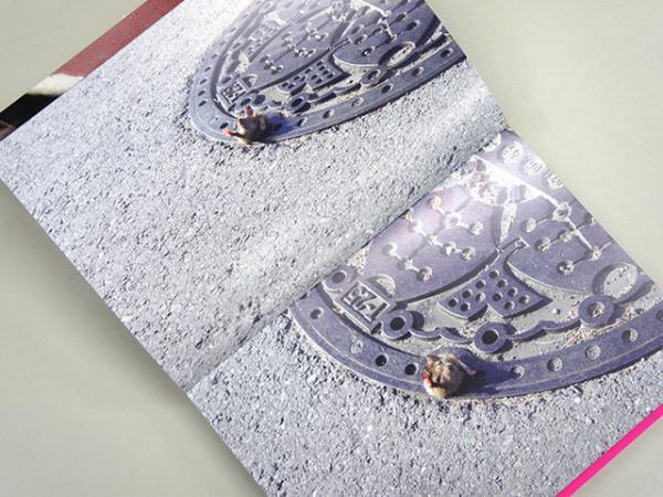 じわじわくるいくしゅんワールド、初写真集『ですよねー』刊行