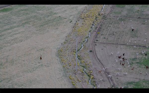 イノウエブラザーズの高地4000mペルーでのアルパカプロジェクトのムービーが公開