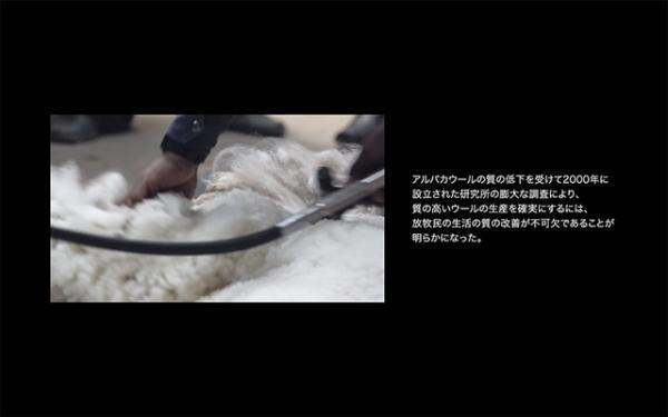 イノウエブラザーズの高地4000mペルーでのアルパカプロジェクトのムービーが公開