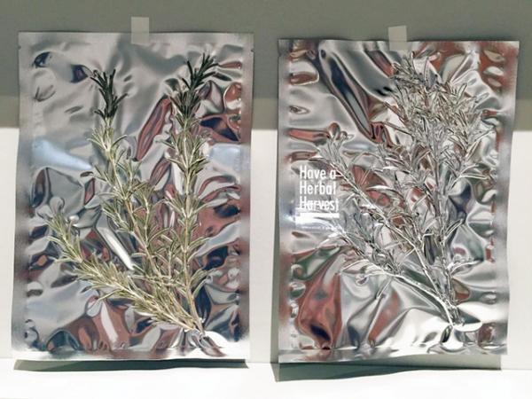 プランティカ×ロケットによる“飾れるハーブティー”、冬のエキシビションが開催。クリスマスセットの販売も