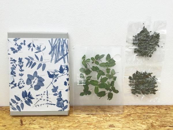 プランティカ×ロケットによる“飾れるハーブティー”、冬のエキシビションが開催。クリスマスセットの販売も