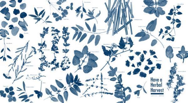 プランティカ×ロケットによる“飾れるハーブティー”、冬のエキシビションが開催。クリスマスセットの販売も