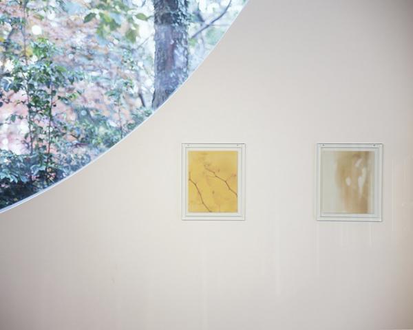 写真の中の秘密を見つける。スウェーデン大使館でヨーガン・アクセルバルの写真展「OIDE」開催中