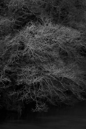 『IMA』が選ぶ気鋭の若手写真家6人、六本木のIMAギャラリーで展覧会開催