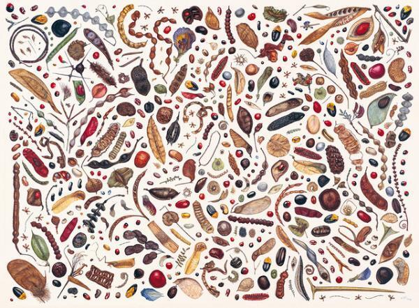 世界一ボタニカルアートを収集する植物園による「イングリッシュ・ガーデン 英国に集う花々」展開催