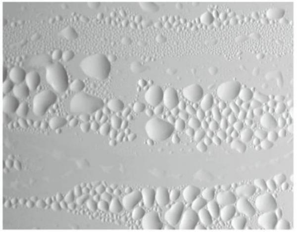 自然の息吹に耳を澄ます、現代アーティスト井上織衣の個展が木場で開催