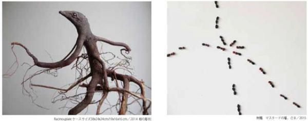 自然の息吹に耳を澄ます、現代アーティスト井上織衣の個展が木場で開催