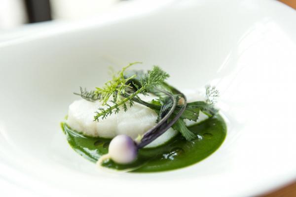 奈良の美食を堪能する新施設「ときのもり」が白金台にオープン！神社の荘厳さを表した設い