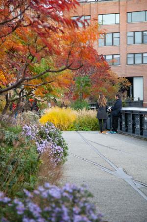 変わりゆくN.Y.のカルチャーを「食」で感じる