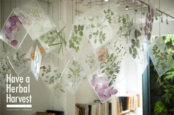 ギャラリーROCKET、3月に原点である表参道ヒルズ同潤館3階へ移転