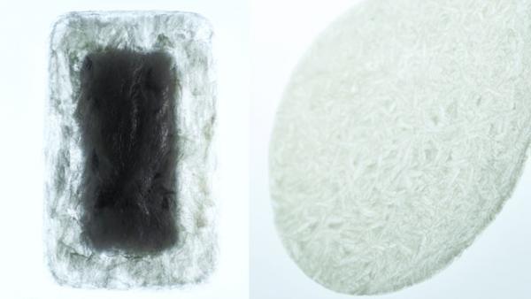 寒天の梱包材、モジュールの原理を活かした衣服など「LEXUS DESIGN AWARD 2016」入賞作品が決定