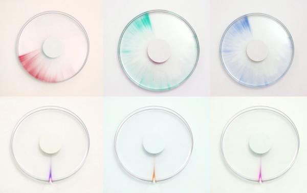 寒天の梱包材、モジュールの原理を活かした衣服など「LEXUS DESIGN AWARD 2016」入賞作品が決定