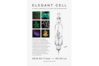 東京大学内で、細胞とアートの“小さな実験室”公開。山中俊治デザインの実験器具や、細胞彫刻を展示