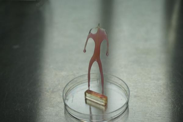 東京大学内で、細胞とアートの“小さな実験室”公開。山中俊治デザインの実験器具や、細胞彫刻を展示