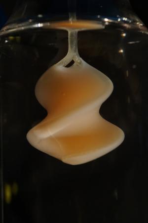 東京大学内で、細胞とアートの“小さな実験室”公開。山中俊治デザインの実験器具や、細胞彫刻を展示